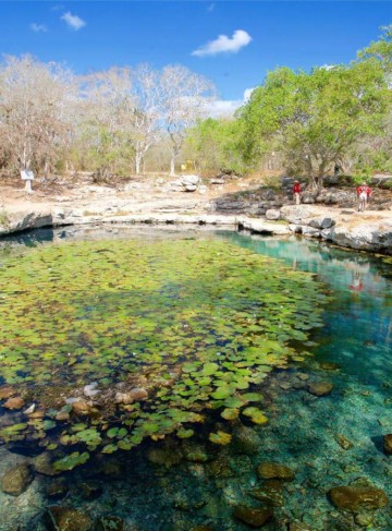 https://qa.yucatan.travel/wp-content/uploads/2019/12/arton2391-360x487.jpg